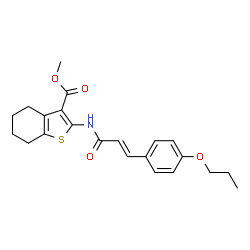 ChemSpider 2D Image | Methyl 2-{[(2E)-3-(4-propoxyphenyl)-2-propenoyl]amino}-4,5,6,7-tetrahydro-1-benzothiophene-3-carboxylate | C22H25NO4S