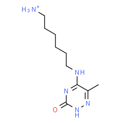 ChemSpider 2D Image | 6-[(6-Methyl-3-oxo-2,3-dihydro-1,2,4-triazin-5-yl)amino]-1-hexanaminium | C10H20N5O
