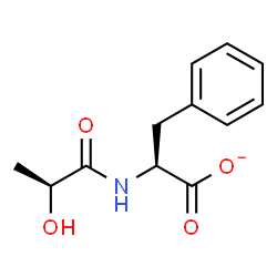 ChemSpider 2D Image | (2S)-2-{[(2S)-2-Hydroxypropanoyl]amino}-3-phenylpropanoate | C12H14NO4