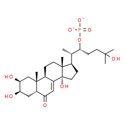 ChemSpider 2D Image | (2beta,3beta,5beta,22R)-2,3,14,25-Tetrahydroxy-6-oxocholest-7-en-22-yl phosphate | C27H43O9P