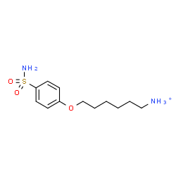 ChemSpider 2D Image | 6-(4-Sulfamoylphenoxy)-1-hexanaminium | C12H21N2O3S