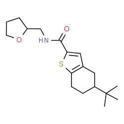 ChemSpider 2D Image | 5-(2-Methyl-2-propanyl)-N-(tetrahydro-2-furanylmethyl)-4,5,6,7-tetrahydro-1-benzothiophene-2-carboxamide | C18H27NO2S