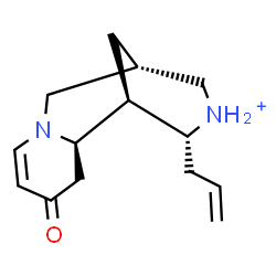 ChemSpider 2D Image | (1S,2R,9R,12R)-12-Allyl-4-oxo-7-aza-11-azoniatricyclo[7.3.1.0~2,7~]tridec-5-ene | C14H21N2O