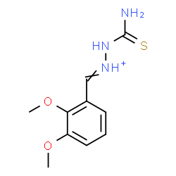 ChemSpider 2D Image | 2-Carbamothioyl-1-(2,3-dimethoxybenzylidene)hydrazinium | C10H14N3O2S