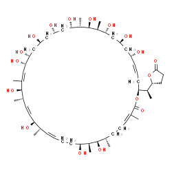ChemSpider 2D Image | (7S,8R,9S,10S,15S,16S,19S,20R,23S,24R,26S,28S,30S,31S,32R,33S,34R,36S,38S,42S)-8,10,16,20,23,24,26,28,30,32,34,36,38-Tridecahydroxy-3,7,9,15,19,21,31,33-octamethyl-42-{(1R)-1-[(2R)-5-oxotetrahydro-2-f
uranyl]ethyl}oxacyclodotetraconta-3,13,17,21,39-pentaen-2-one | C55H94O17