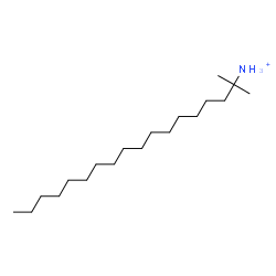 ChemSpider 2D Image | 2-Methyl-2-octadecanaminium | C19H42N