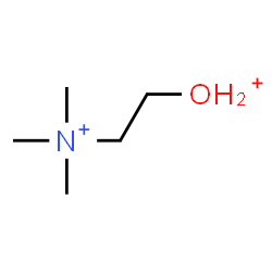 ChemSpider 2D Image | [2-(Trimethylammonio)ethyl]oxonium | C5H15NO