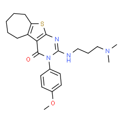 ChemSpider 2D Image | 2-{[3-(Dimethylamino)propyl]amino}-3-(4-methoxyphenyl)-3,5,6,7,8,9-hexahydro-4H-cyclohepta[4,5]thieno[2,3-d]pyrimidin-4-one | C23H30N4O2S