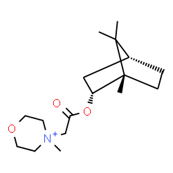 ChemSpider 2D Image | 4-Methyl-4-(2-oxo-2-{[(1S,2R,4R)-1,7,7-trimethylbicyclo[2.2.1]hept-2-yl]oxy}ethyl)morpholin-4-ium | C17H30NO3