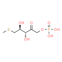 ChemSpider 2D Image | S-methyl-5-thio-D-ribulose 1-phosphate | C6H13O7PS