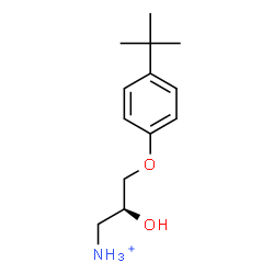 ChemSpider 2D Image | (2S)-2-Hydroxy-3-[4-(2-methyl-2-propanyl)phenoxy]-1-propanaminium | C13H22NO2