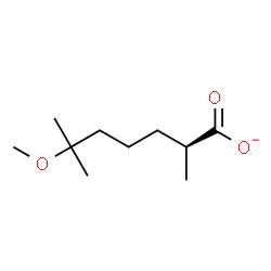 ChemSpider 2D Image | (2R)-6-Methoxy-2,6-dimethylheptanoate | C10H19O3