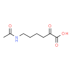 ChemSpider 2D Image | 6-Acetamido-2-oxohexanoic acid | C8H13NO4