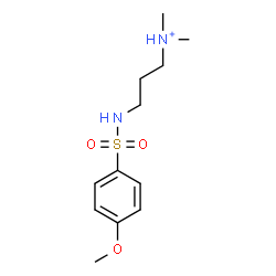 ChemSpider 2D Image | 3-{[(4-Methoxyphenyl)sulfonyl]amino}-N,N-dimethyl-1-propanaminium | C12H21N2O3S