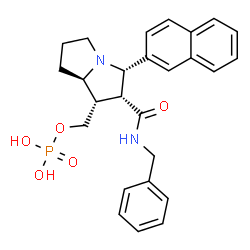 ChemSpider 2D Image | [(1S,2R,3S,7aR)-2-(Benzylcarbamoyl)-3-(2-naphthyl)hexahydro-1H-pyrrolizin-1-yl]methyl dihydrogen phosphate | C26H29N2O5P