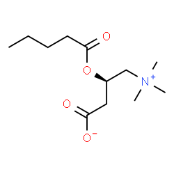 ChemSpider 2D Image | Valeryl L-carnitine | C12H23NO4