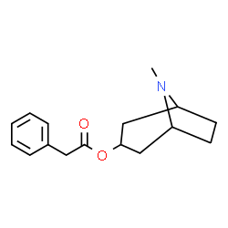 ChemSpider 2D Image | 3α-Phenylacetoxy Tropane | C16H21NO2