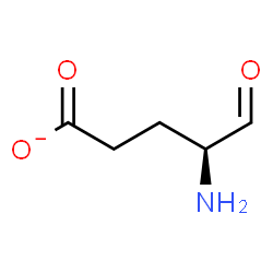 ChemSpider 2D Image | (4S)-4-Amino-5-oxopentanoate | C5H8NO3