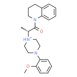 ChemSpider 2D Image | 1-[(2R)-1-(3,4-Dihydro-1(2H)-quinolinyl)-1-oxo-2-propanyl]-4-(2-methoxyphenyl)piperazin-1-ium | C23H30N3O2