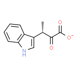ChemSpider 2D Image | (3S)-3-(1H-Indol-3-yl)-2-oxobutanoate | C12H10NO3
