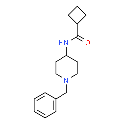 ChemSpider 2D Image | N-(1-Benzyl-4-piperidinyl)cyclobutanecarboxamide | C17H24N2O