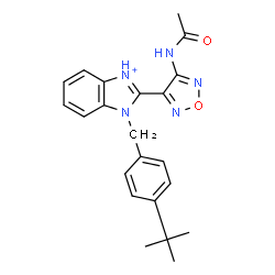 ChemSpider 2D Image | 2-(4-Acetamido-1,2,5-oxadiazol-3-yl)-1-[4-(2-methyl-2-propanyl)benzyl]-1H-3,1-benzimidazol-3-ium | C22H24N5O2