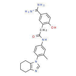 ChemSpider 2D Image | Amino[4-hydroxy-3-(2-{[3-methyl-4-(4,5,6,7-tetrahydro-1H-benzimidazol-1-yl)phenyl]amino}-2-oxoethyl)phenyl]methaniminium | C23H26N5O2