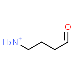 ChemSpider 2D Image | 4-Oxo-1-butanaminium | C4H10NO