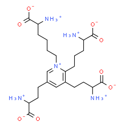 ChemSpider 2D Image | 2-Ammonio-6-[2-(4-ammonio-4-carboxylatobutyl)-3,5-bis(3-ammonio-3-carboxylatopropyl)-1-pyridiniumyl]hexanoate | C24H40N5O8