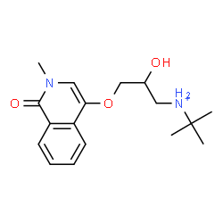 ChemSpider 2D Image | 2-Hydroxy-3-[(2-methyl-1-oxo-1,2-dihydro-4-isoquinolinyl)oxy]-N-(2-methyl-2-propanyl)-1-propanaminium | C17H25N2O3