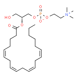 ChemSpider 2D Image | 2-arachidonoyl-sn-glycero-3-phosphocholine | C28H50NO7P