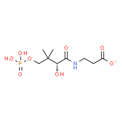 ChemSpider 2D Image | 3-{[(2R)-2-Hydroxy-3,3-dimethyl-4-(phosphonooxy)butanoyl]amino}propanoate | C9H17NO8P