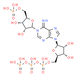 ChemSpider 2D Image | [[(2R,3S,4R,5R)-5-[1-[(3R,4S,5R)-3,4-dihydroxy-5-(phosphonooxymethyl)tetrahydrofuran-2-yl]-6-imino-purin-9-yl]-3,4-dihydroxy-tetrahydrofuran-2-yl]methoxy-hydroxy-phosphoryl] phosphono hydrogen phosphate | C15H25N5O20P4