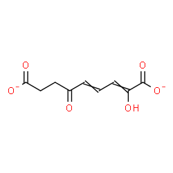 ChemSpider 2D Image | (2Z,4E)-2-Hydroxy-6-oxo-2,4-nonadienedioate | C9H8O6