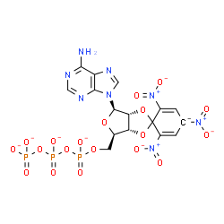 ChemSpider 2D Image | 5'-O-({[(Phosphonatooxy)phosphinato]oxy}phosphinato)-2',3'-O-(2,4,6-trinitro-2,5-cyclohexadien-4-ide-1,1-diyl)adenosine | C16H12N8O19P3