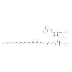 ChemSpider 2D Image | 3-oxooctadecanoyl-CoA | C39H68N7O18P3S