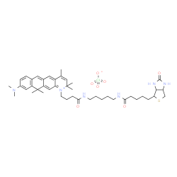 ChemSpider 2D Image | 9-(Dimethylamino)-2,2,4,11,11-pentamethyl-1-{4-oxo-4-[(5-{[5-(2-oxohexahydro-1H-thieno[3,4-d]imidazol-4-yl)pentanoyl]amino}pentyl)amino]butyl}-2,11-dihydronaphtho[2,3-g]quinolinium perchlorate | C43H61ClN6O7S