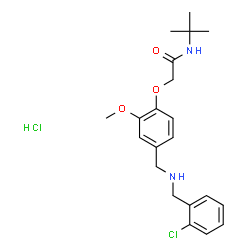 ChemSpider 2D Image | 2-(4-{[(2-Chlorobenzyl)amino]methyl}-2-methoxyphenoxy)-N-(2-methyl-2-propanyl)acetamide hydrochloride (1:1) | C21H28Cl2N2O3