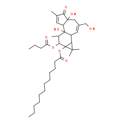 ChemSpider 2D Image | 9-(Butyryloxy)-4a,7b-dihydroxy-3-(hydroxymethyl)-1,1,6,8-tetramethyl-5-oxo-1,1a,1b,4,4a,5,7a,7b,8,9-decahydro-9aH-cyclopropa[3,4]benzo[1,2-e]azulen-9a-yl laurate | C36H56O8
