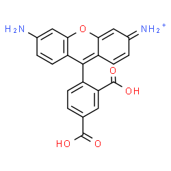 ChemSpider 2D Image | 6-Amino-9-(2,4-dicarboxyphenyl)-3H-xanthen-3-iminium | C21H15N2O5