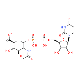 ChemSpider 2D Image | (2S,3S,4R,5R)-5-Acetamido-6-{[{[{[(2R,3S,4R,5R)-5-(2,4-dioxo-3,4-dihydro-1(2H)-pyrimidinyl)-3,4-dihydroxytetrahydro-2-furanyl]methoxy}(hydroxy)phosphoryl]oxy}(hydroxy)phosphoryl]oxy}-3,4-dihydroxytetr
ahydro-2H-pyran-2-carboxylate | C17H24N3O18P2