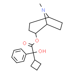ChemSpider 2D Image | 8-Methyl-8-azabicyclo[3.2.1]oct-2-yl cyclobutyl(hydroxy)phenylacetate | C20H27NO3