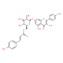 ChemSpider 2D Image | 3,5-Dihydroxy-2-(4-hydroxyphenyl)-4-oxo-4H-chromen-7-yl 6-O-[(2E)-3-(4-hydroxyphenyl)-2-propenoyl]-beta-L-glucopyranoside | C30H26O13