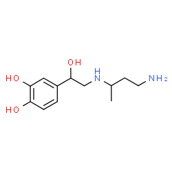 ChemSpider 2D Image | 4-{2-[(4-Amino-2-butanyl)amino]-1-hydroxyethyl}-1,2-benzenediol | C12H20N2O3