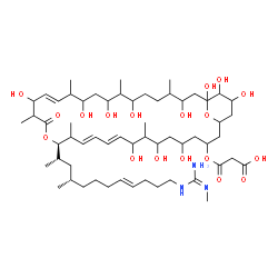 ChemSpider 2D Image | 3-oxo-3-({(10E,12E,15R,20E)-5,7,9,19,23,25,27,31,33,34,35-undecahydroxy-8,14,18,22,26,30-hexamethyl-15-[(4S,8E)-4-methyl-12-(N''-methylcarbamimidamido)dodec-8-en-2-yl]-17-oxo-16,37-dioxabicyclo[31.3.1]heptatriaconta-10,12,20-trien-3-yl}oxy)propanoic acid | C59H103N3O18