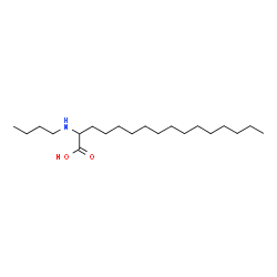 ChemSpider 2D Image | 2-(Butylamino)hexadecanoic acid | C20H41NO2