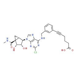 ChemSpider 2D Image | 6-{3-[({2-Chloro-9-[(1S,2R,3S,4R,5S)-3,4-dihydroxy-5-(methylcarbamoyl)bicyclo[3.1.0]hex-2-yl]-9H-purin-6-yl}amino)methyl]phenyl}-5-hexynoic acid | C26H27ClN6O5