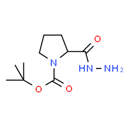 ChemSpider 2D Image | 2-Hydrazinocarbonyl-pyrrolidine-1-carboxylic acid tert-butyl ester | C10H19N3O3