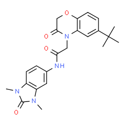 ChemSpider 2D Image | N-(1,3-Dimethyl-2-oxo-2,3-dihydro-1H-benzimidazol-5-yl)-2-[6-(2-methyl-2-propanyl)-3-oxo-2,3-dihydro-4H-1,4-benzoxazin-4-yl]acetamide | C23H26N4O4