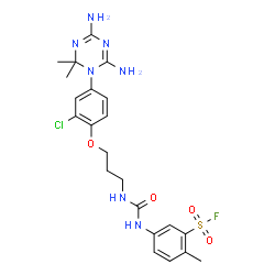 ChemSpider 2D Image | 5-[({3-[2-Chloro-4-(4,6-diamino-2,2-dimethyl-1,3,5-triazin-1(2H)-yl)phenoxy]propyl}carbamoyl)amino]-2-methylbenzenesulfonyl fluoride | C22H27ClFN7O4S
